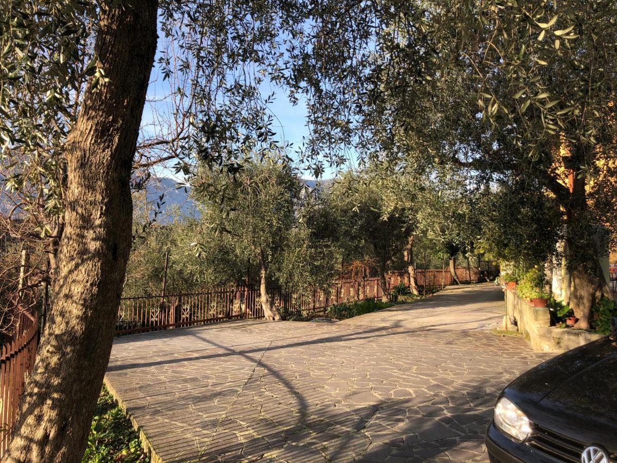 Appartamento Nonna Rosa Malcesine Exteriör bild